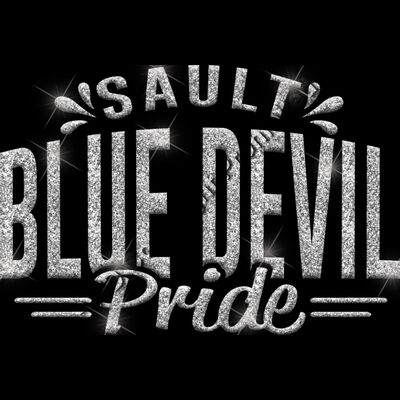 GLT62 SILVER GLITTER Thumbnail